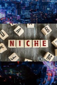 choosing a niche to start a blog and make money