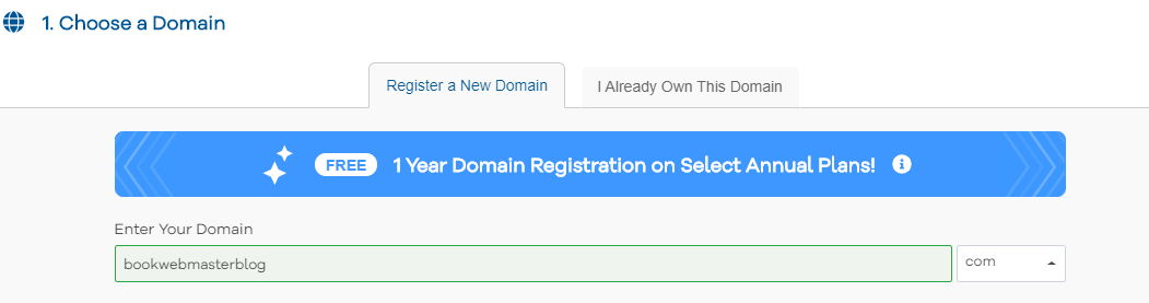 choose domain for new blog