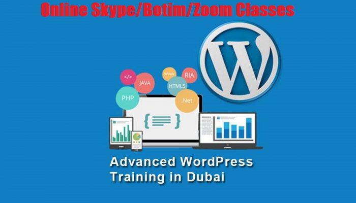 Wordpress training uae