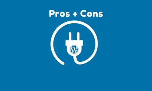 Pros and Cons of Using Plugins