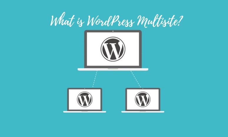 Introduction to WordPress Multisite