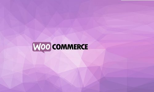 Removing Category Alias From WooCommerce Products