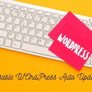 disable wordpress auto update